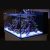 NUVO Fusion Pro 50 Lagoon Aquarium w/ APS Black Stand - Innovative Marine