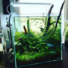 ADA 30-C (7.2 GAL) Rimless Low-Iron Cube Garden Aquarium - Aqua Design Amano