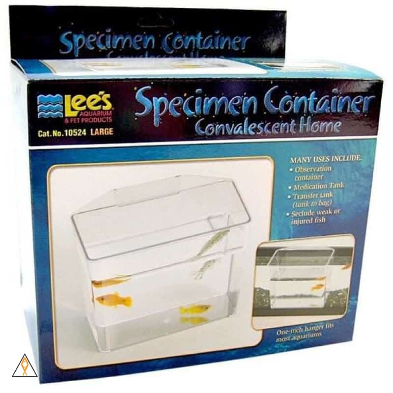 Specimen Container - Lee’s Aquatics