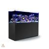 Aquarium System Black REEFER XXL 750 Aquarium System (160 GAL) - Red Sea