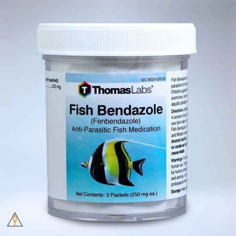 Fish Bendazole Fenbendazole Powder - Thomas Labs