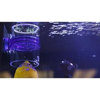 Gourmet Defroster AUQA Gadget - Innovative Marine