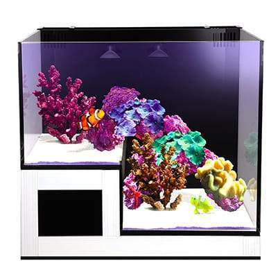 Nuvo Concept ABYSS Panorama All-In-One Aquarium (20 GAL) - Innovative Marine