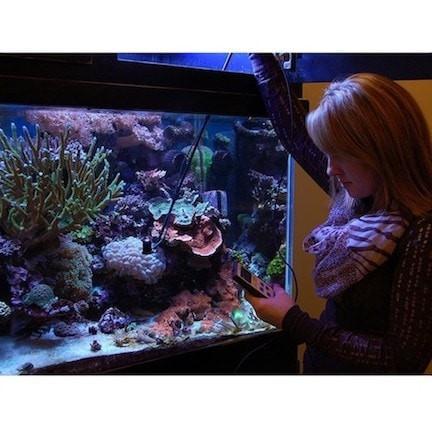 AM-320 Saltwater Submersible Sensor Wand - Apogee