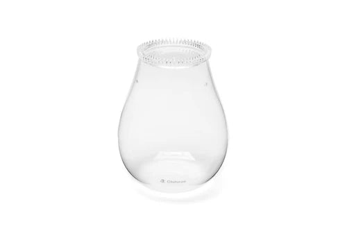 Glass Pot - Chihiros