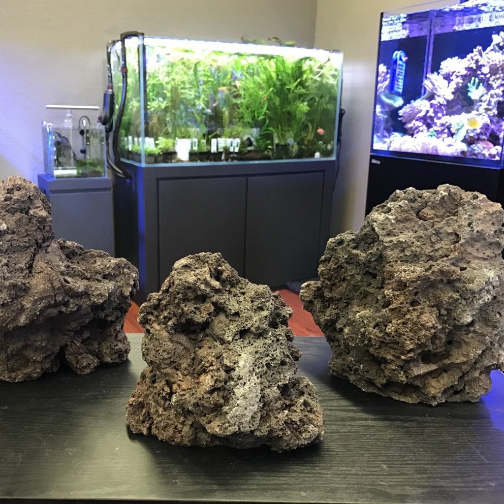 Black Diamond Lava Rock - ALA