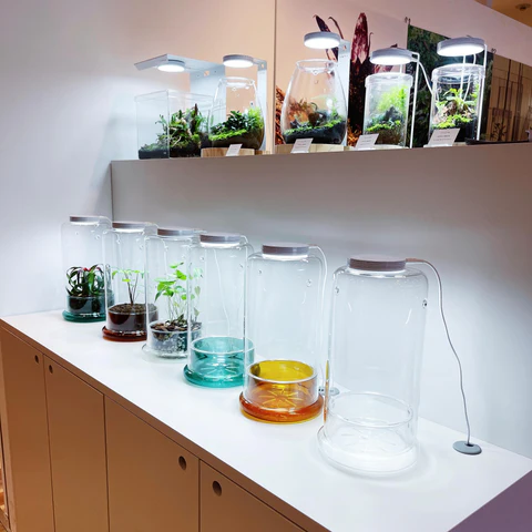 435129089_1872252446530493_532