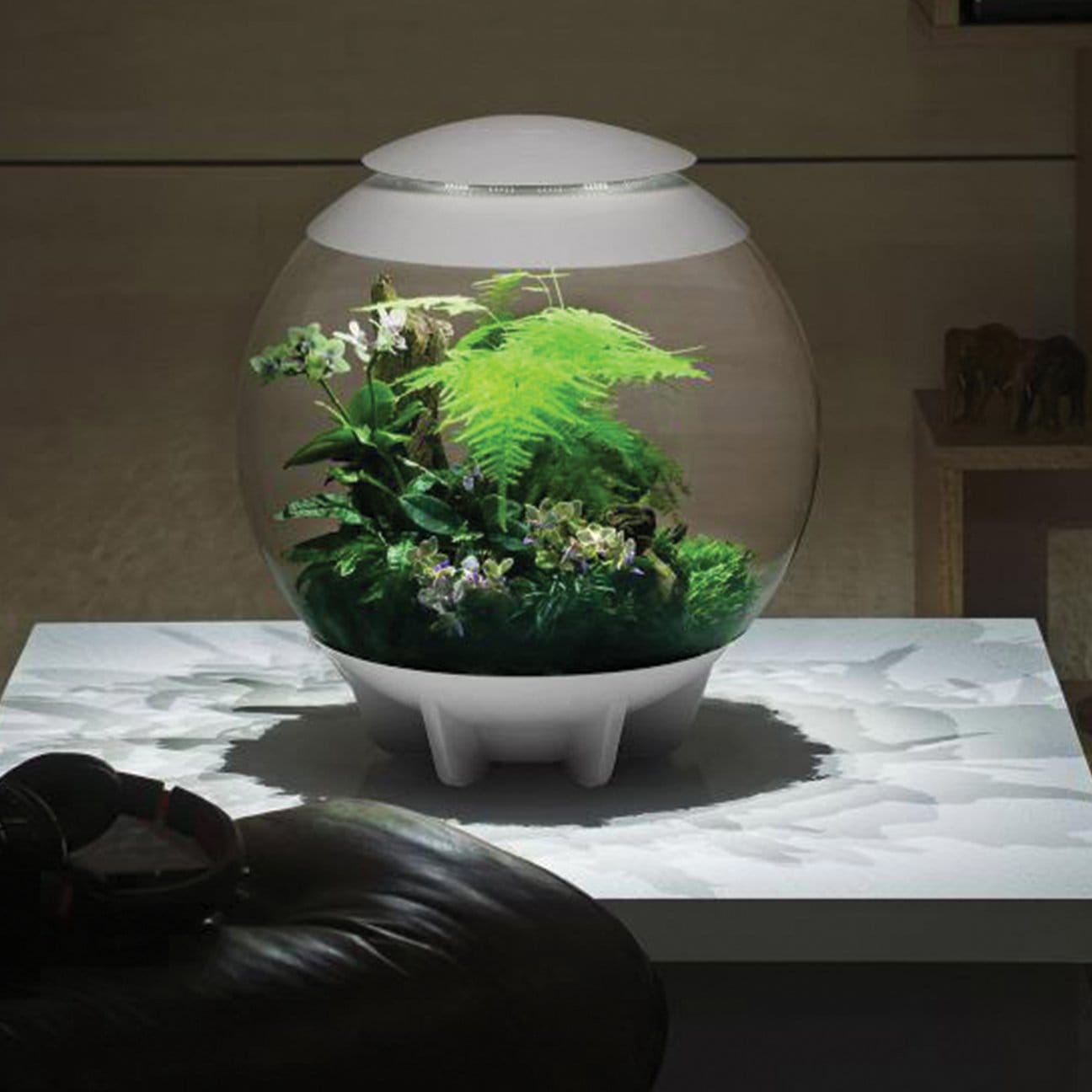 biorb air terrarium plants biOrbAIR LED Terrarium