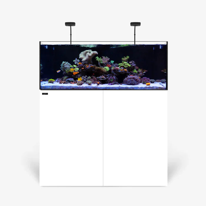 Rimless AIO Aquarium Systems - Waterbox Aquariums