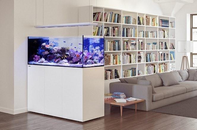 REEFER Peninsula 650 Deluxe Aquarium System (140 GAL) - Red Sea