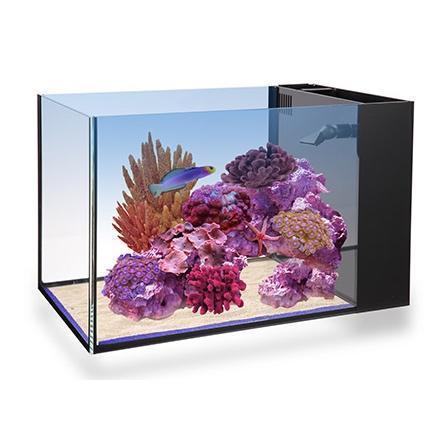 Nuvo Fusion Peninsula 14 - Innovative Marine