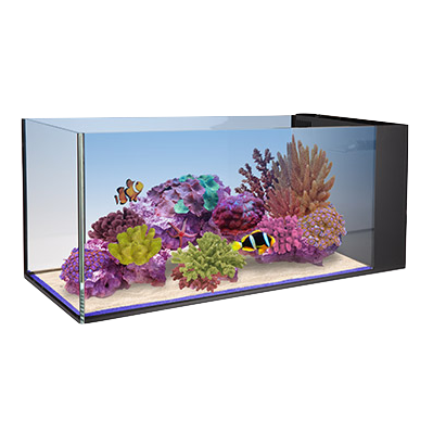 Nuvo Fusion Peninsula 20 - Innovative Marine