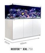 REEFER XXL 750 Aquarium System (160 GAL) - Red Sea
