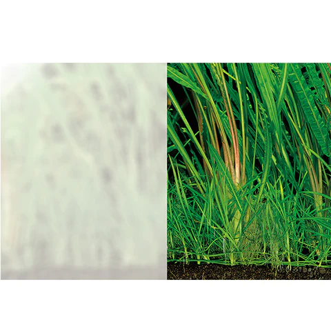 ADA Aqua Screen Aquarium Background - Aqua Design Amano