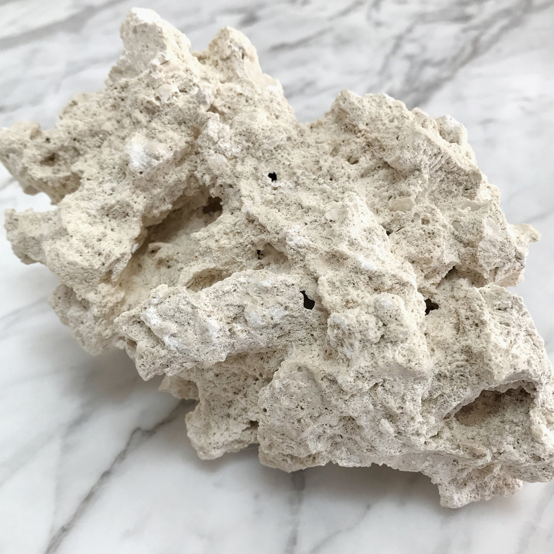 ReefSaver Dry Rock - Marco Rocks