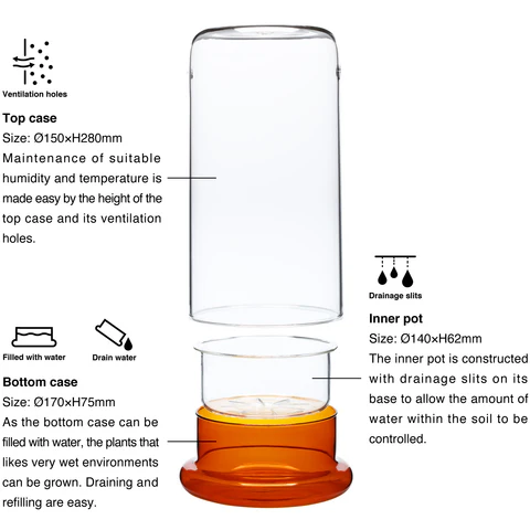 glass plant pots with drainage Cell (Glass Pot)