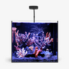 Rimless AIO Aquarium Systems - Waterbox Aquariums