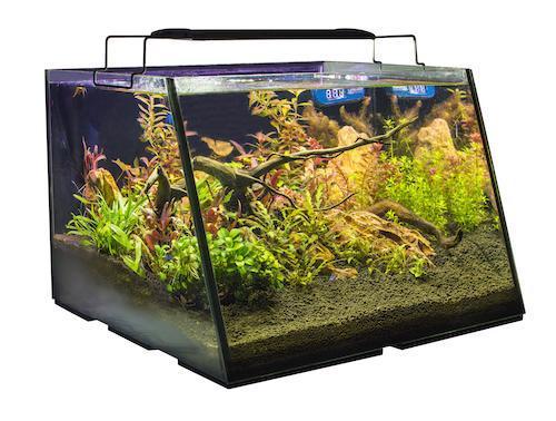 Full View Aquarium - Lifegard Aquatics
