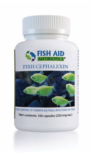 Fish Cephalexin