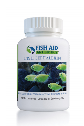 antibiotics for fish hook Fish Cephalexin