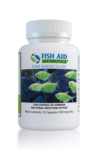 antibiotics fish hook Amoxicillin New Daiwa BG1500 Spinning Color:HIVIS YELLOW trout stick baits