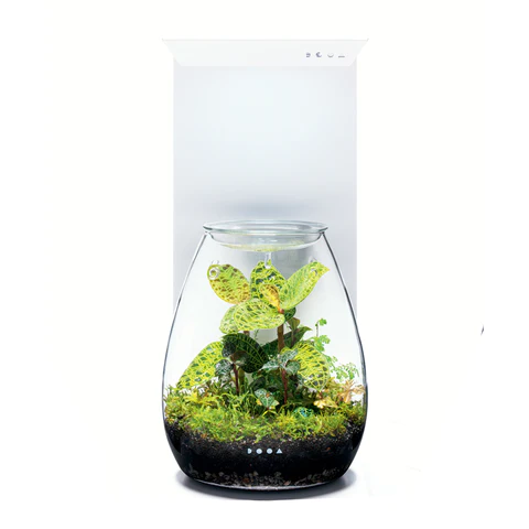 Magnet Light LED Stand - DOOA