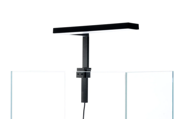 3130ff41-d08e-4a7a-a778-