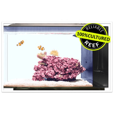 All in one saltwater aquarium kit deals