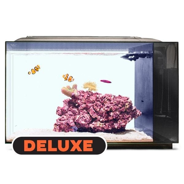 Biota Beginner Saltwater Aquarium Kit (13.5 GAL) - Biota
