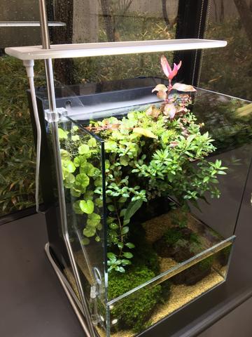 aasdaa2235_2000x.jpeg?v=1661824554 aasdaa2235_2000x.jpeg?v=1661824554