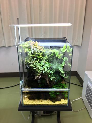 aasdaa2236_2000x.jpeg?v=1661824556 aasdaa2236_2000x.jpeg?v=1661824556