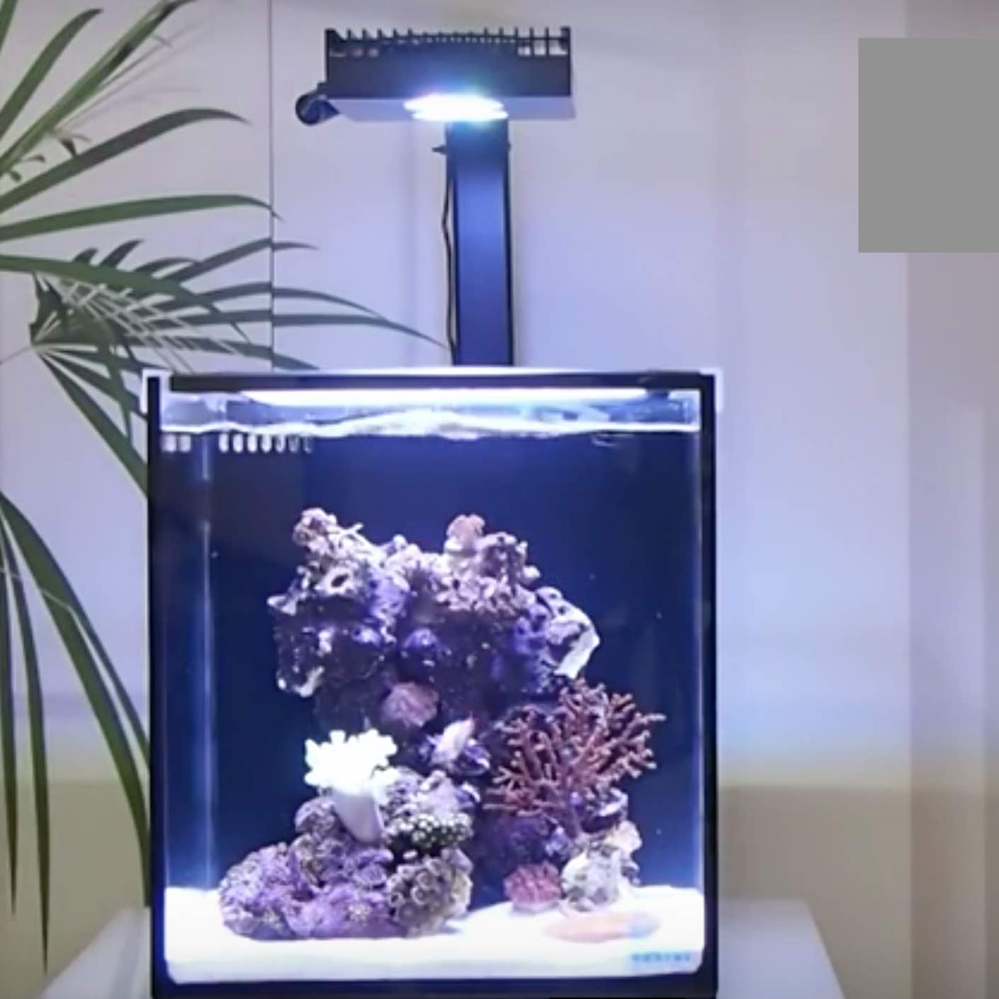 NUVO Fusion Pro 40 All-in-One Aquarium (40 GAL) - Innovative Marine