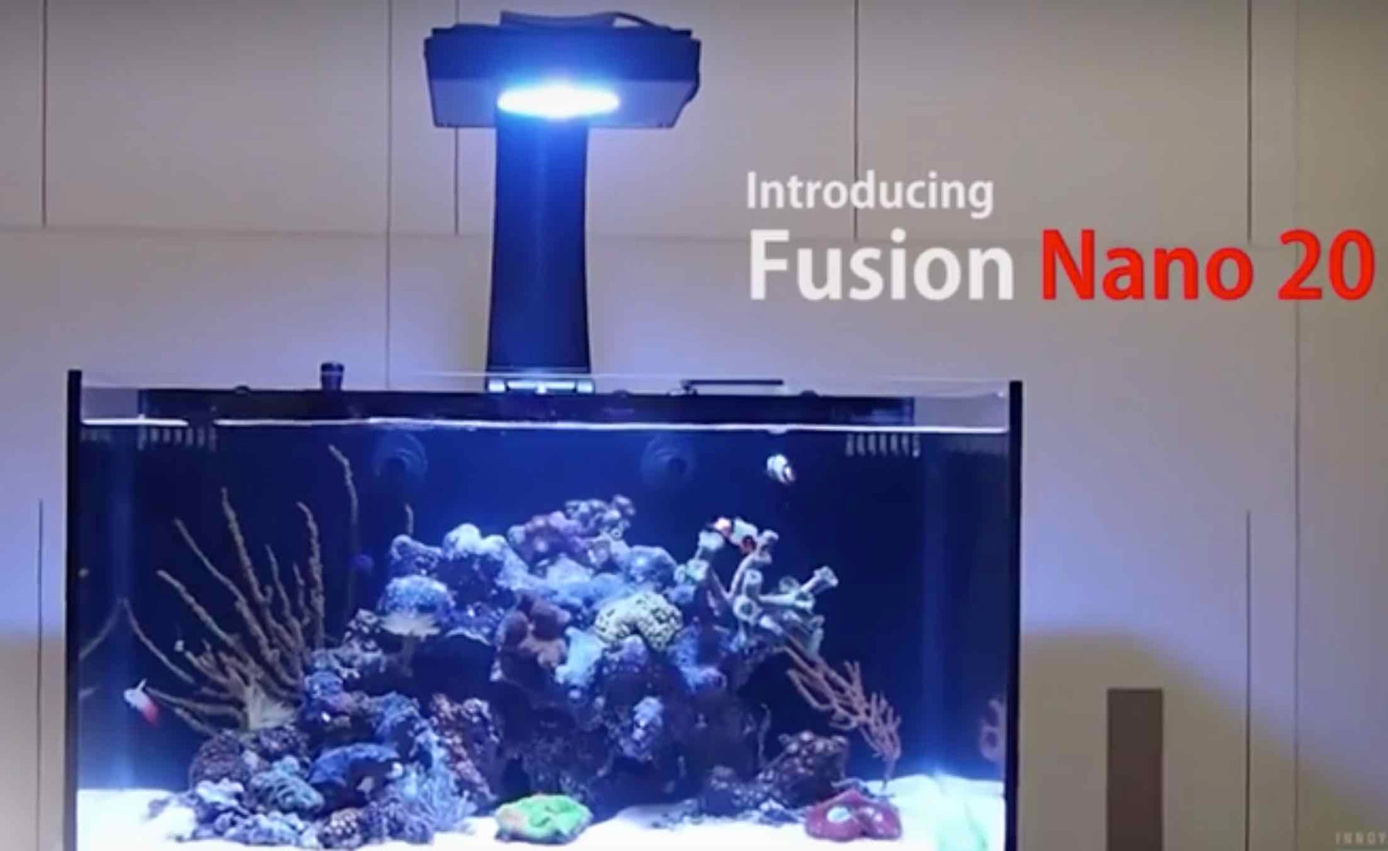 NUVO Fusion Pro 40 All-in-One Aquarium (40 GAL) - Innovative Marine