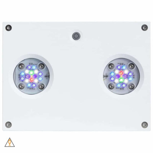 ai-aquaillumination-hydra-32- ai-aquaillumination-hydra-32-