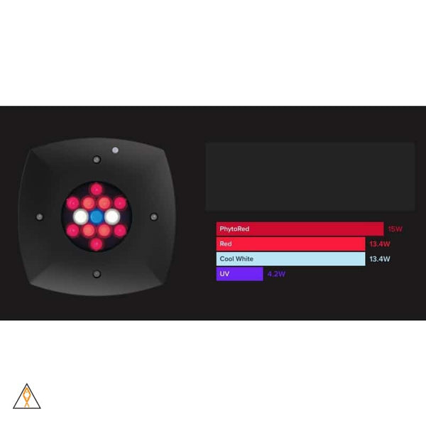 ai-aquaillumination-prime-fuge