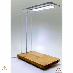 ala-aqua-lab-aquaria-plant-