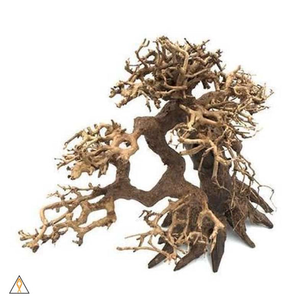 Bonsai Wood