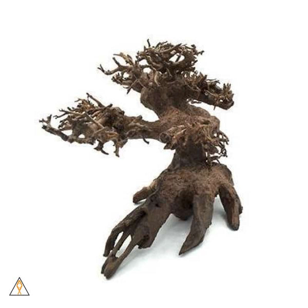 Bonsai Wood