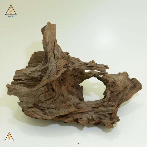 Malaysian Driftwood Showpiece 22226