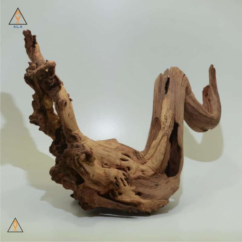 18 Driftwood Bundle #B2 – Sierra Aquatic Driftwood