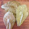 Almond Leaves - ALA