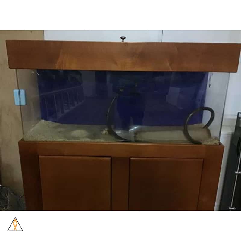 Traditional acrylic aquarium with wood stand and hood - $800
