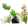 In-Vitro Plant Starter Kit for Jungle Style Planted Aquariums - ALA