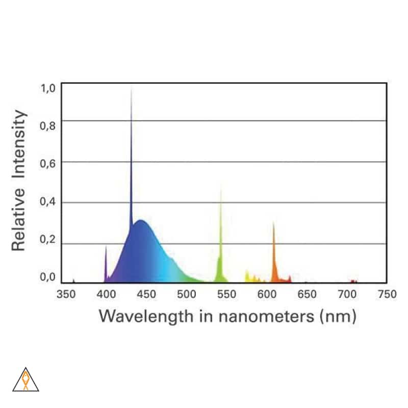 T5 Fluorescent Bulb 24 Inch 24W Coral Plus T5 Fluorescent Bulb - ATI