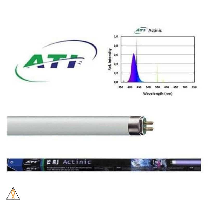 True Actinic T5 Fluorescent Bulb - ATI