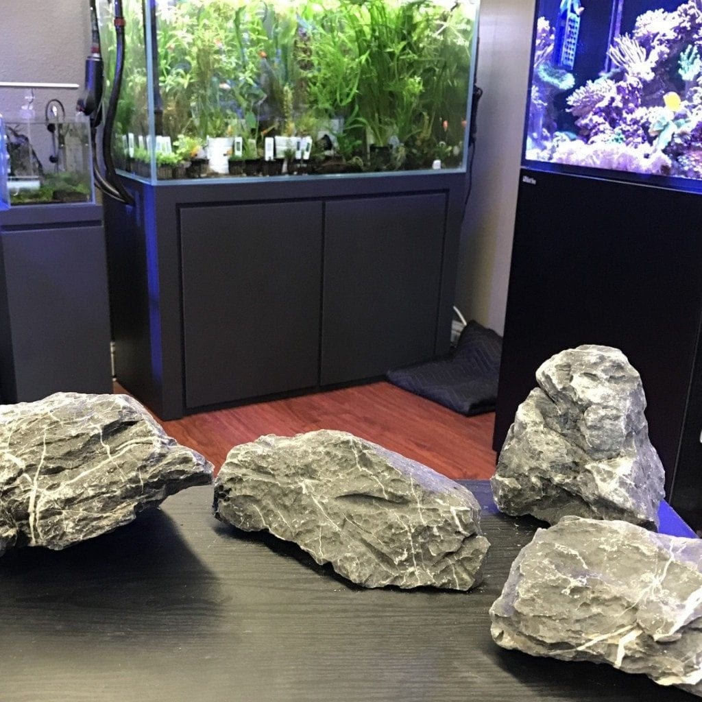 Frodo Stone – Aqua Forest Aquarium