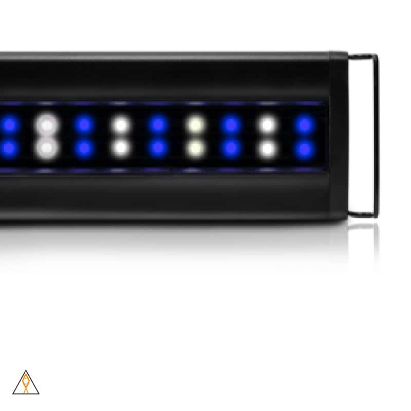 Orbit IC Reef LED System Current USA