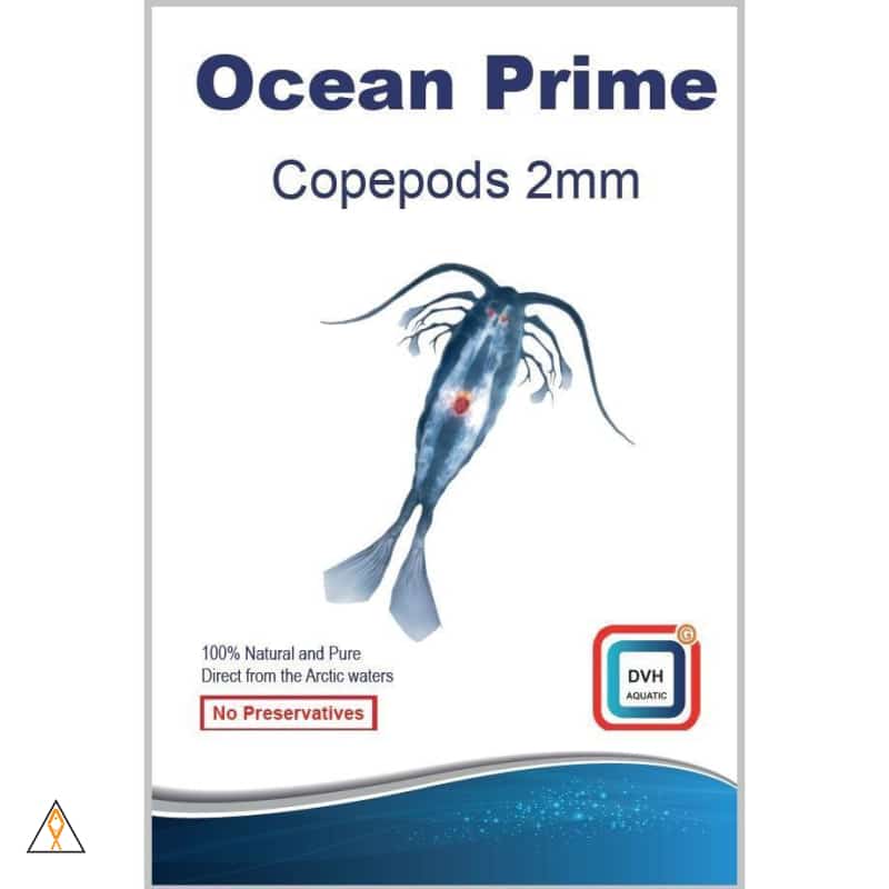 Aquarium Food Ocean Prime 2mm Arctic Planktonic Copepods - DVH Aquatics