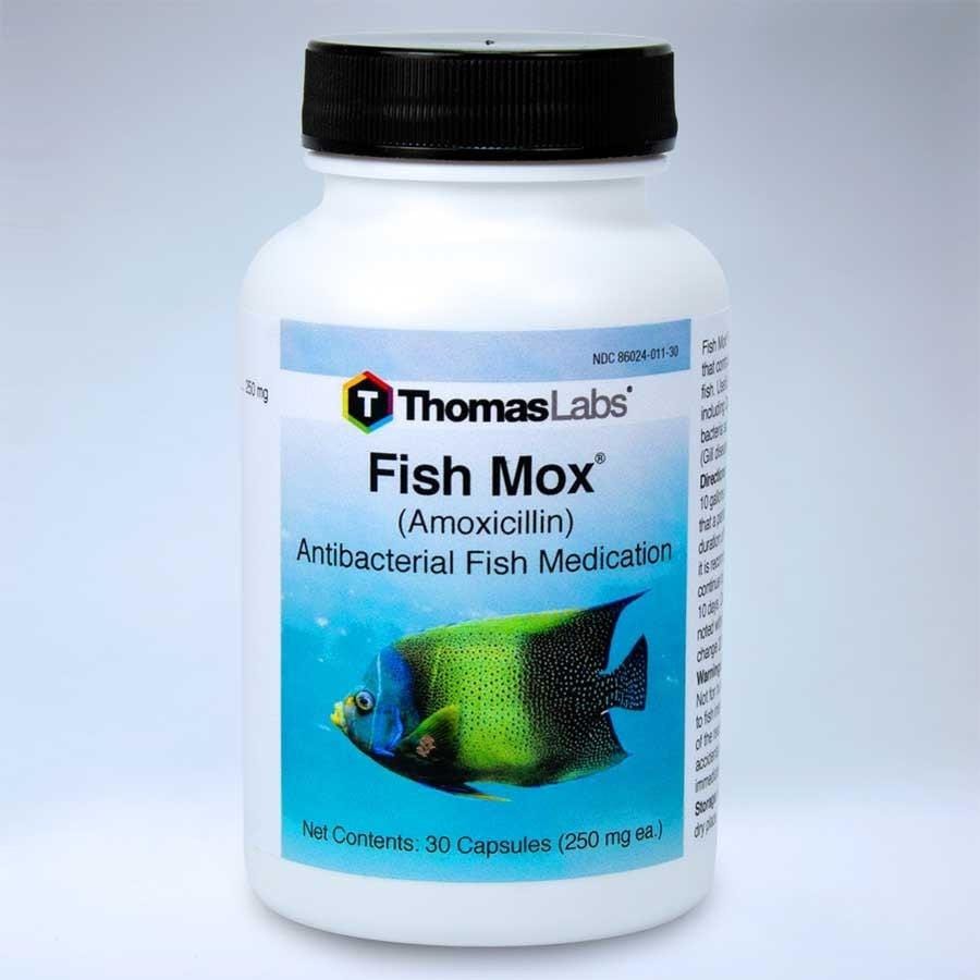 Fish Mox Amoxicillin Medication