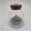 Natural Decor Small Glass LED Orb